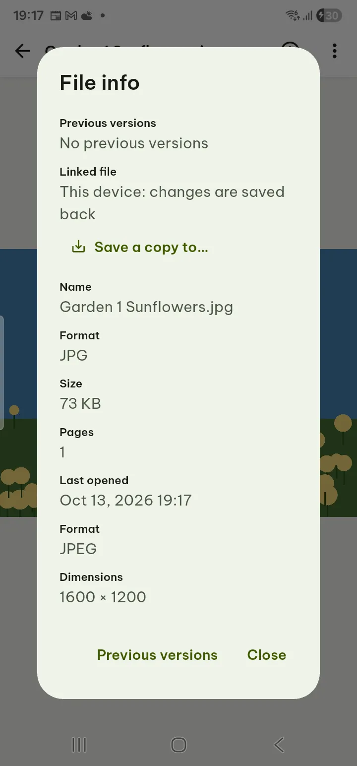 A photo in the picture viewer with the Picture info panel